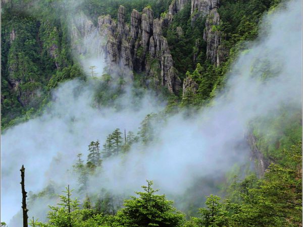 珠海直飞襄阳往返|全景神农架双飞5天