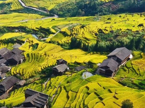 阳朔十里画廊龙脊双动四天